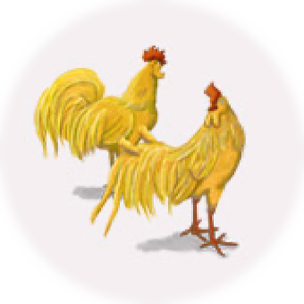 雌雄（しゆう）二羽の黄金の鶏（にわとり）のイメージ画像