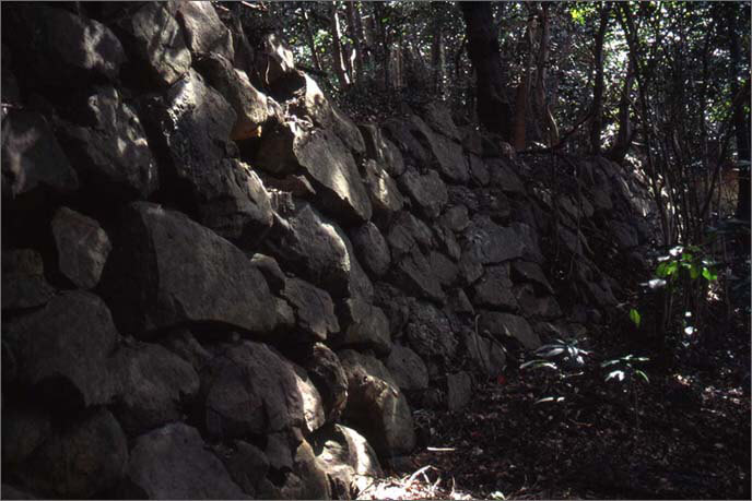 城山の山腹にある「登り石垣」の画像