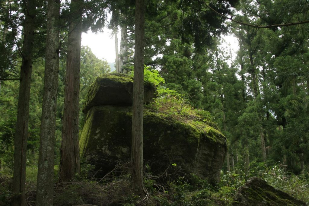 杉木立の中の巨岩