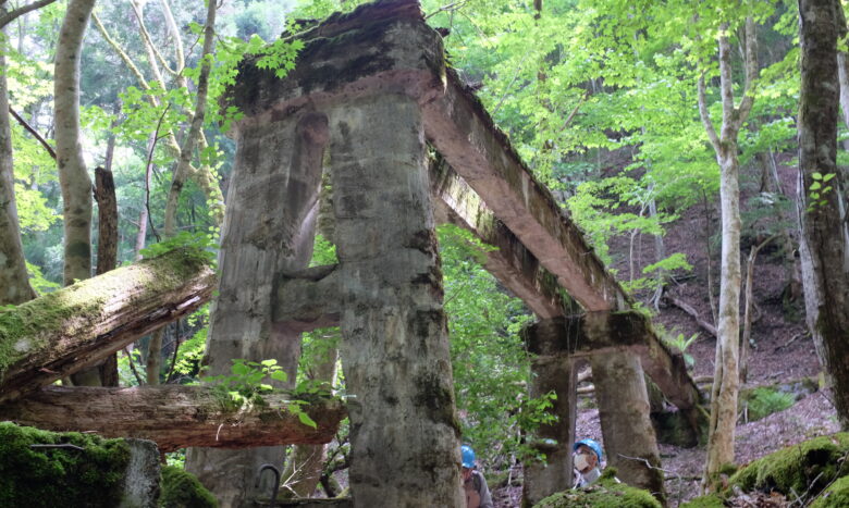 山中に残る森林鉄道の廃線跡